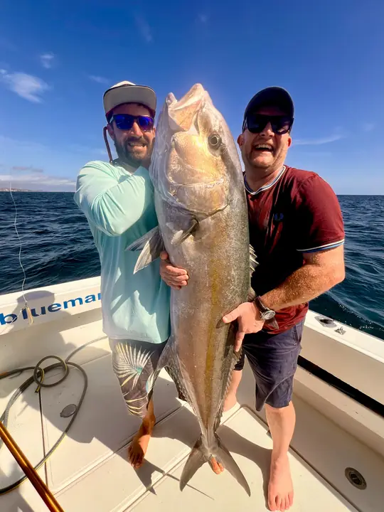 Två fiskare med en jättelik amberjack