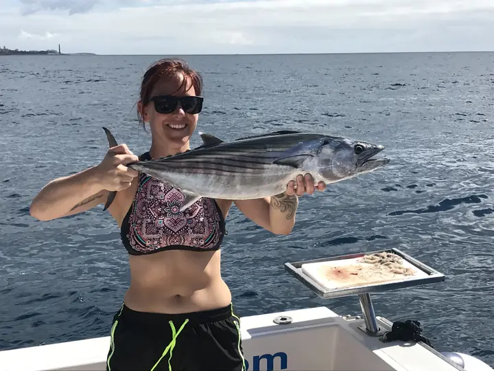 Fiskare som håller en bonit