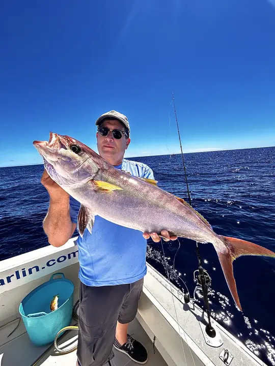 Fiskare som håller en amberjack