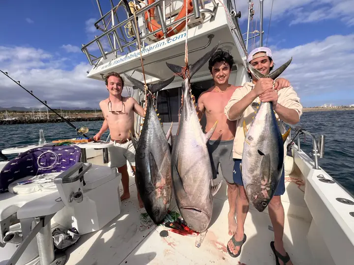 Tre fiskare med sina tonfiskar i marinan