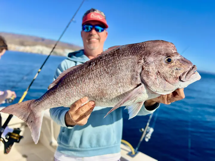Fiskare med en röd snapper