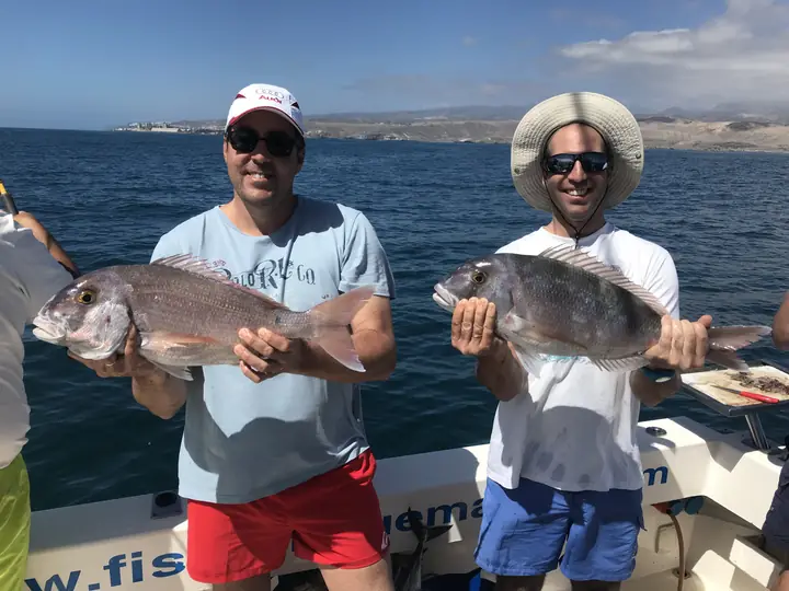 Två fiskare med rödpagell