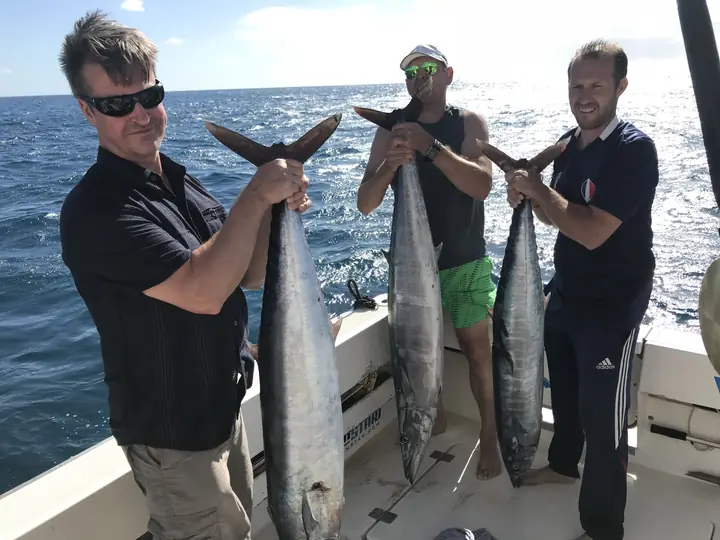 Tre fiskare som håller tonfiskar i stjärten