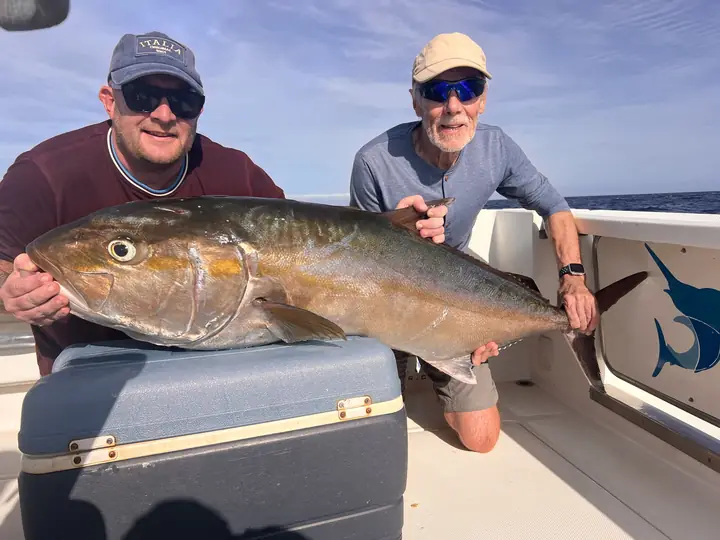 Två fiskare med en stor amberjack på en privat charter