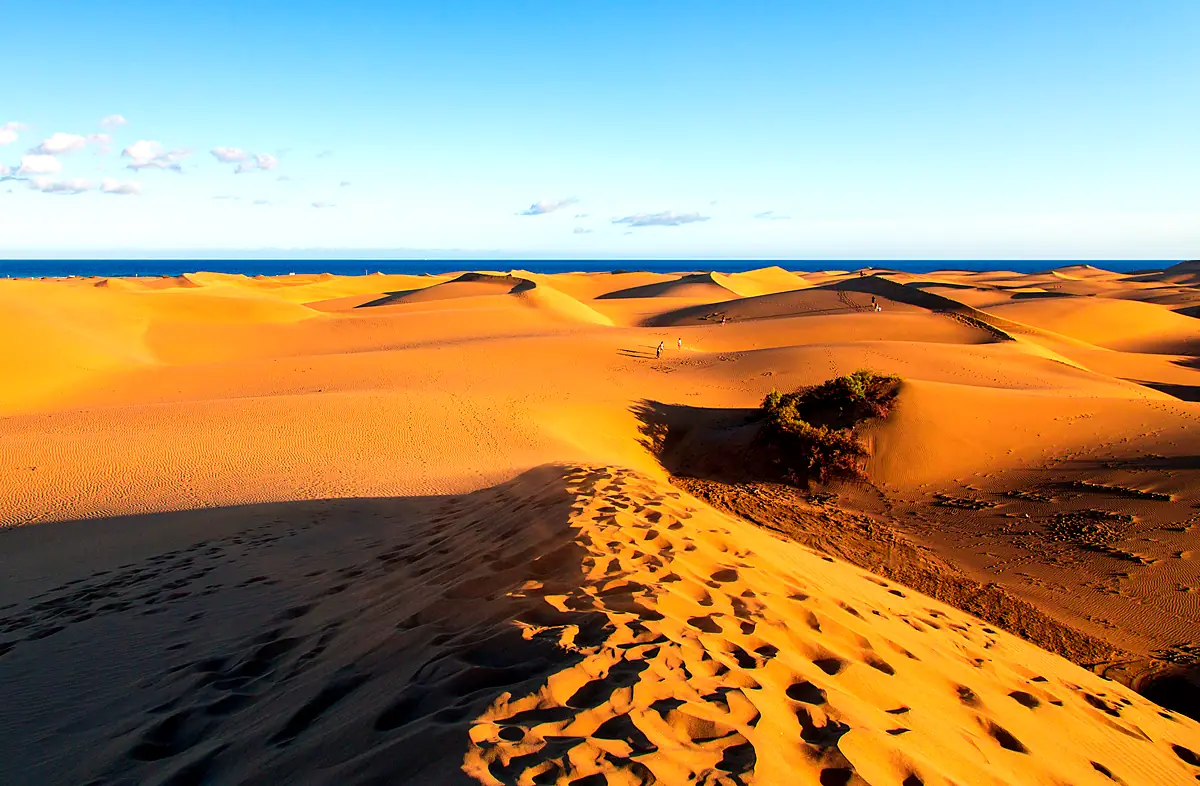 Fotspår längs en dynkam i Maspalomas med havet bakom