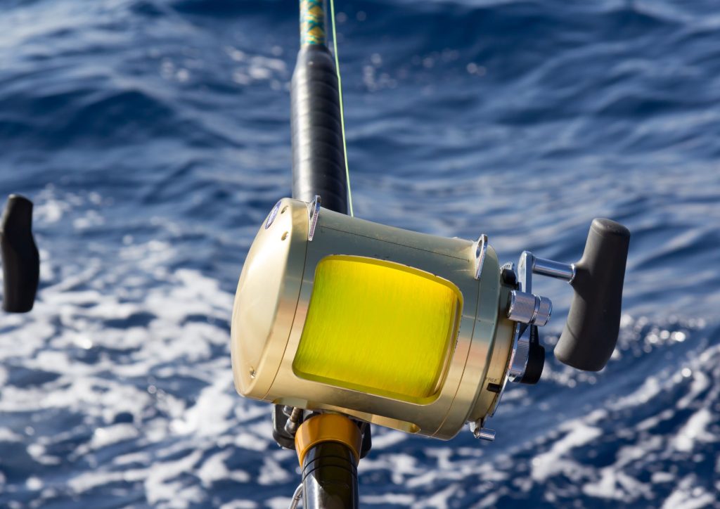 Fishing for marlins canaria